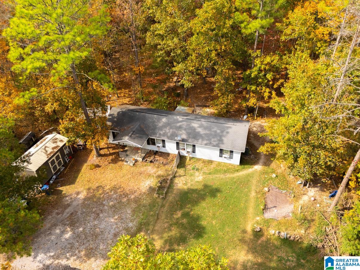 2445 Cove Rd, Piedmont, AL 36272