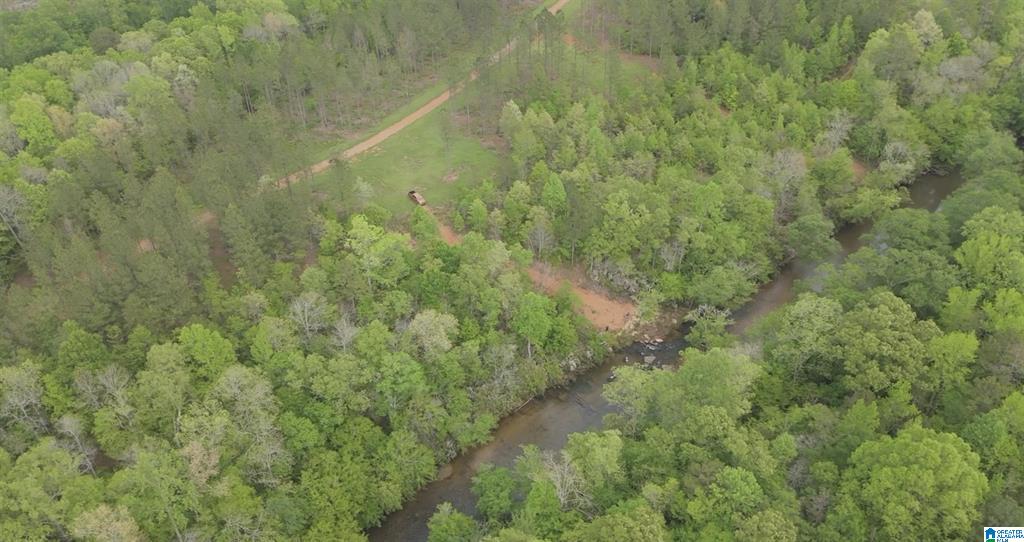 1051 Pate Road, Tract 5 & 6, Cragford, AL 36255