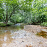 0 County Road 475