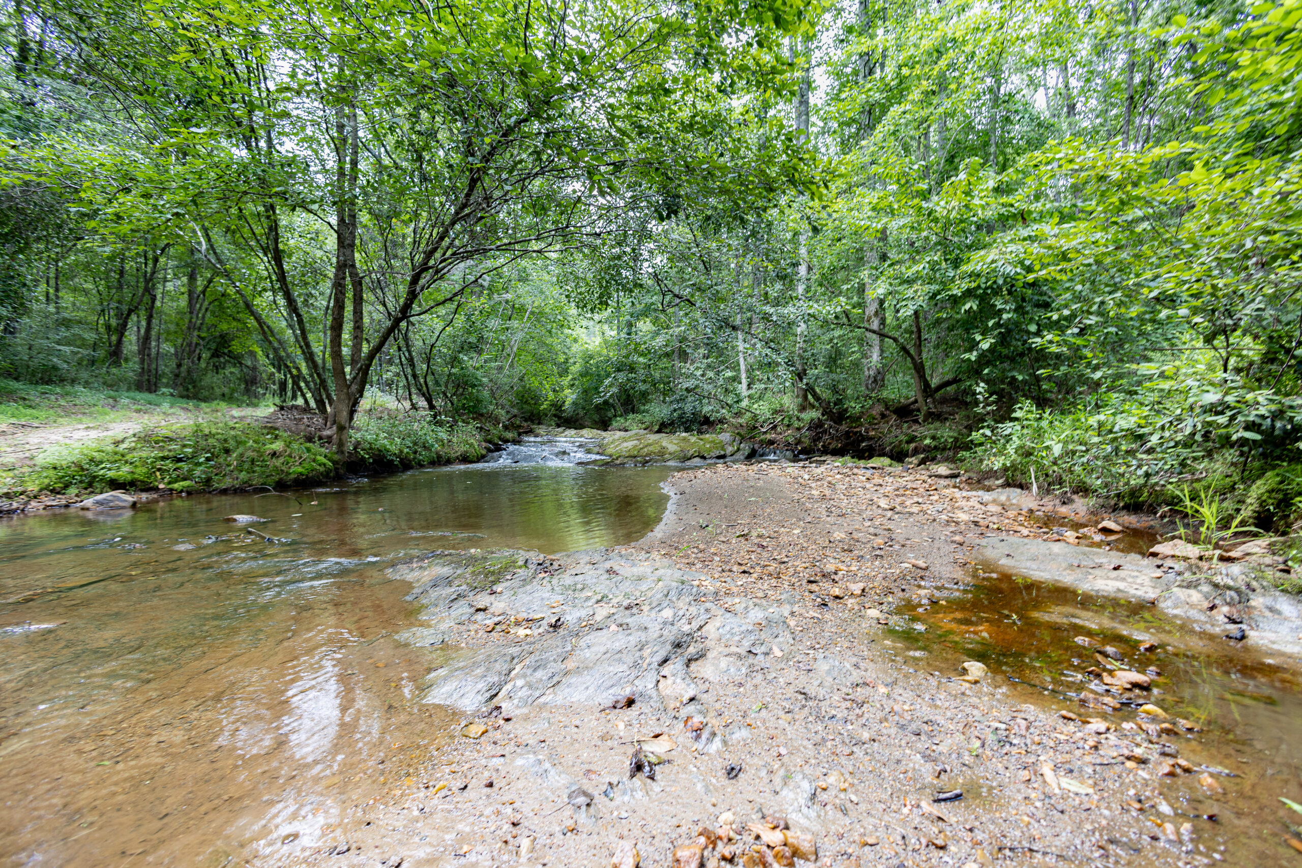 0 County Road 475, Woodland, AL 36280 0 County Road 475