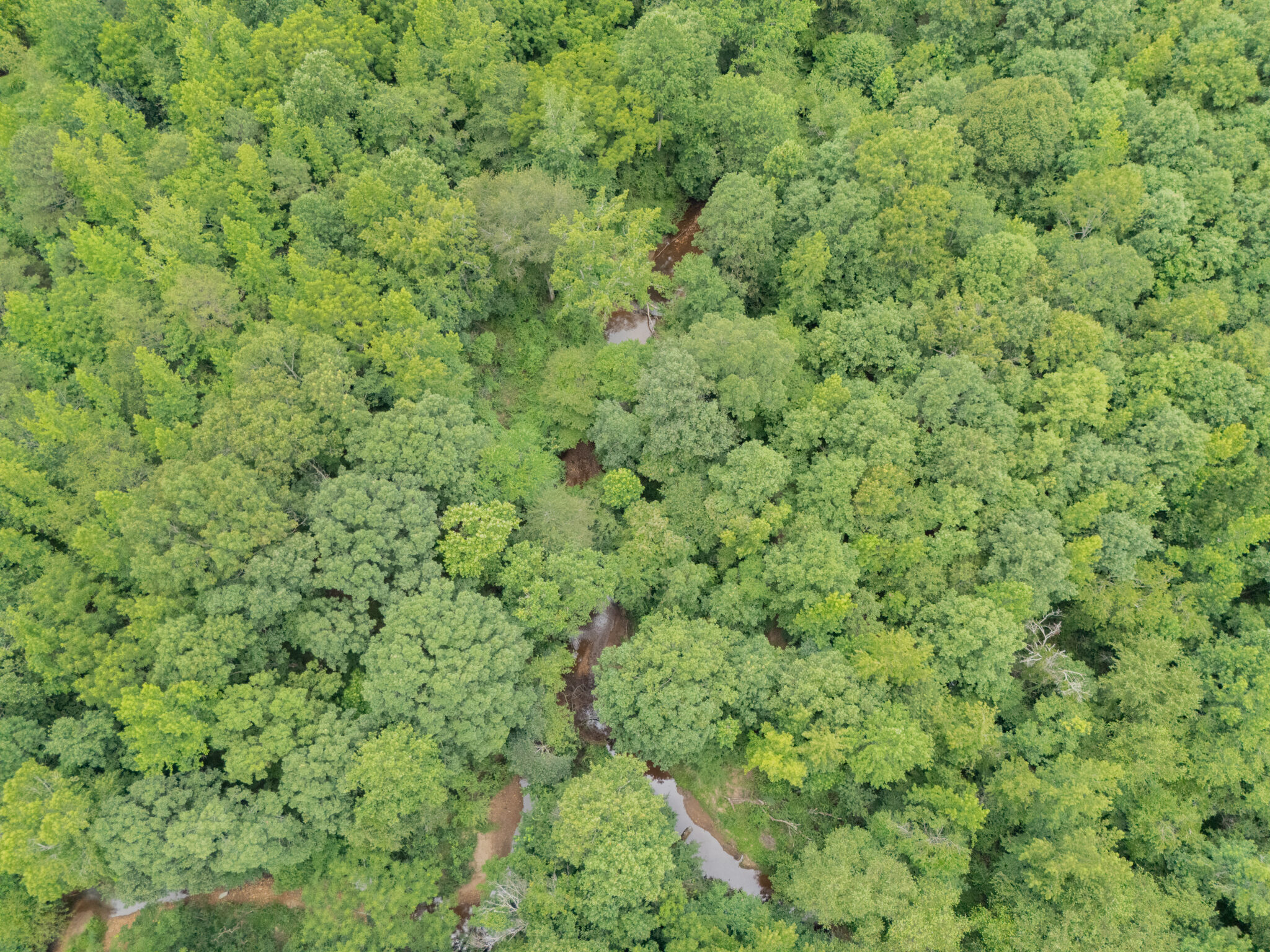 0 County Road 475, Woodland, AL 36280 0 County Road 475, Woodland, AL 36280