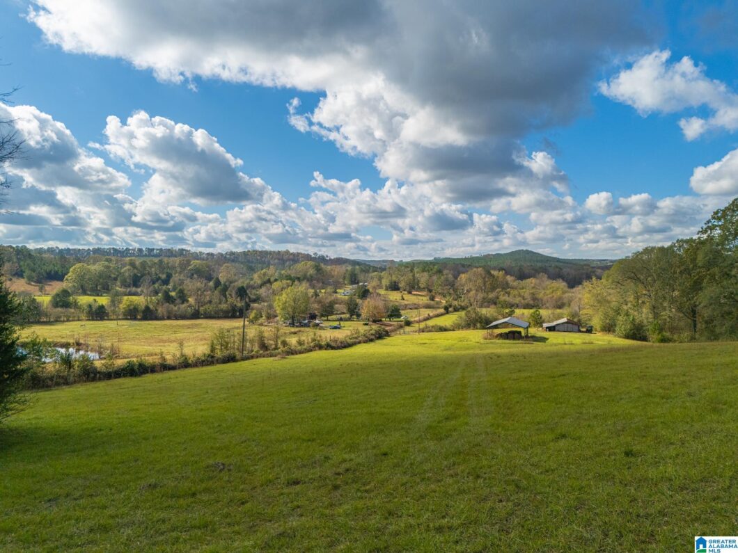 0 BROWNVILLE ROAD Tract 1