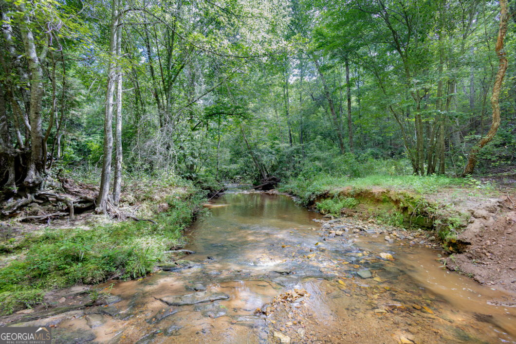 0 County Road 475