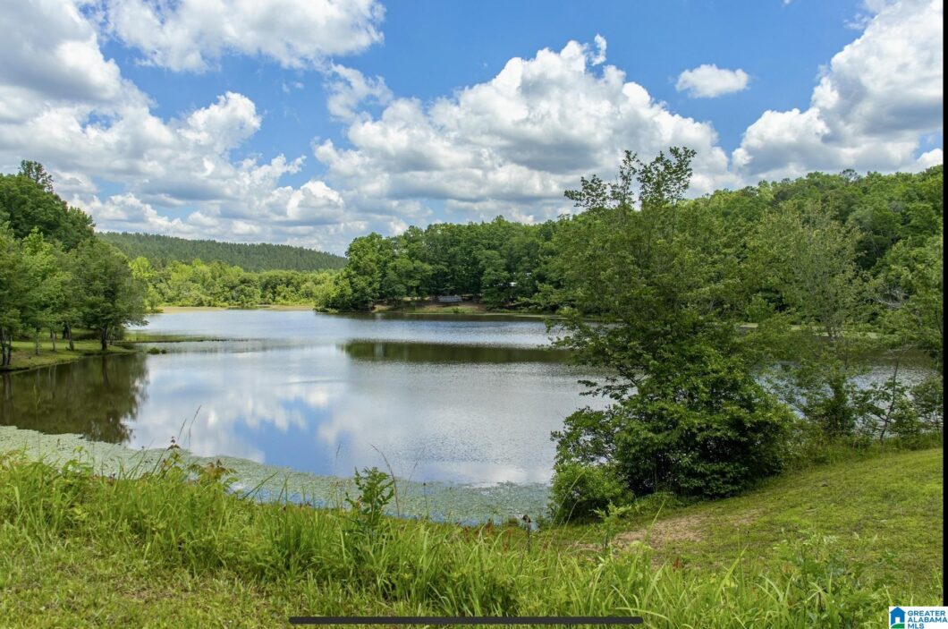 0 SLAUGHTER MILL ROAD 0