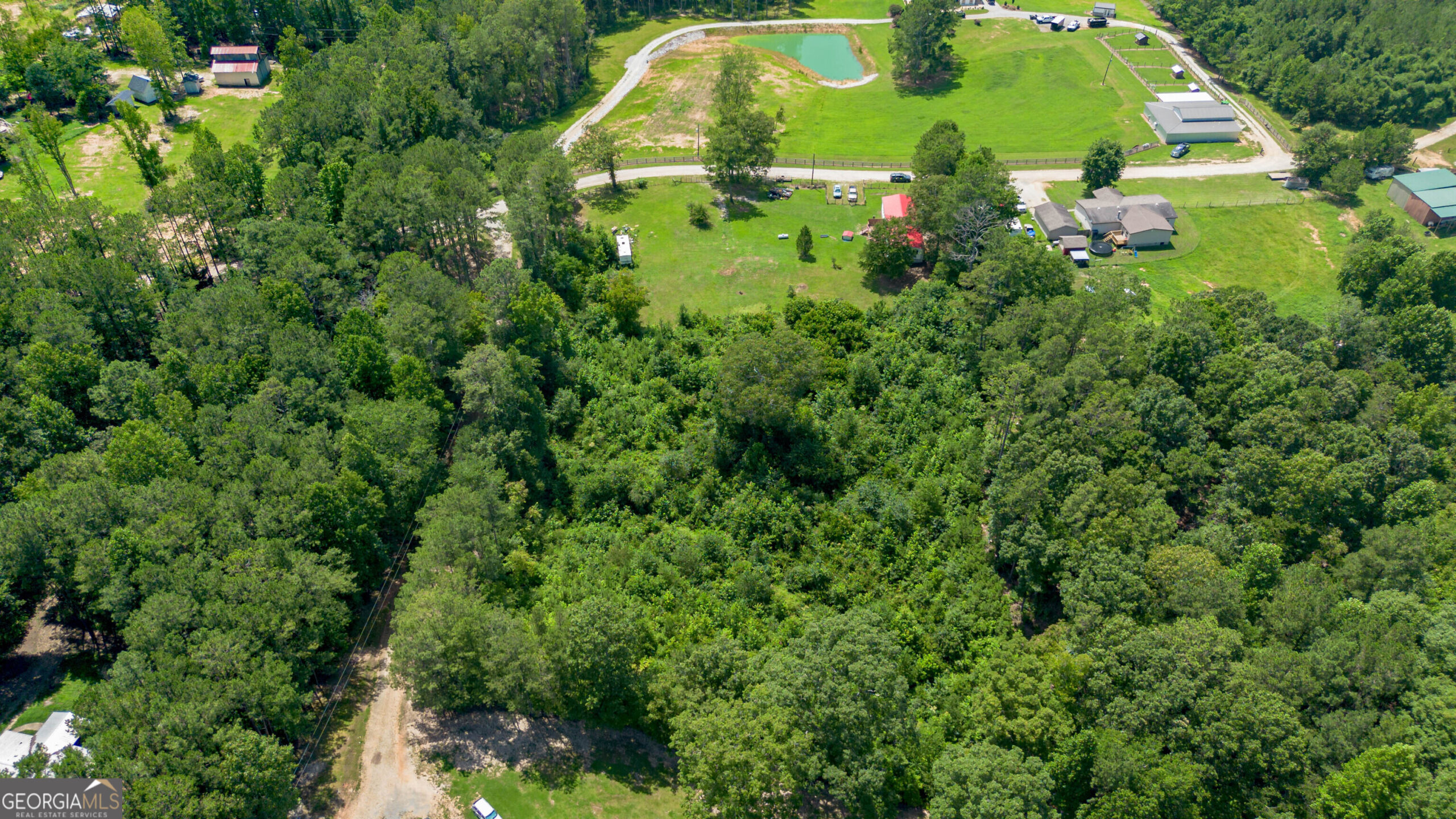 Tract 5 County Road 447 Heflin AL — open land and mature trees