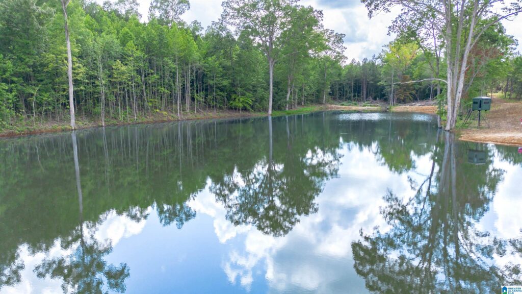 Your West Georgia Realtor Vineyard Road