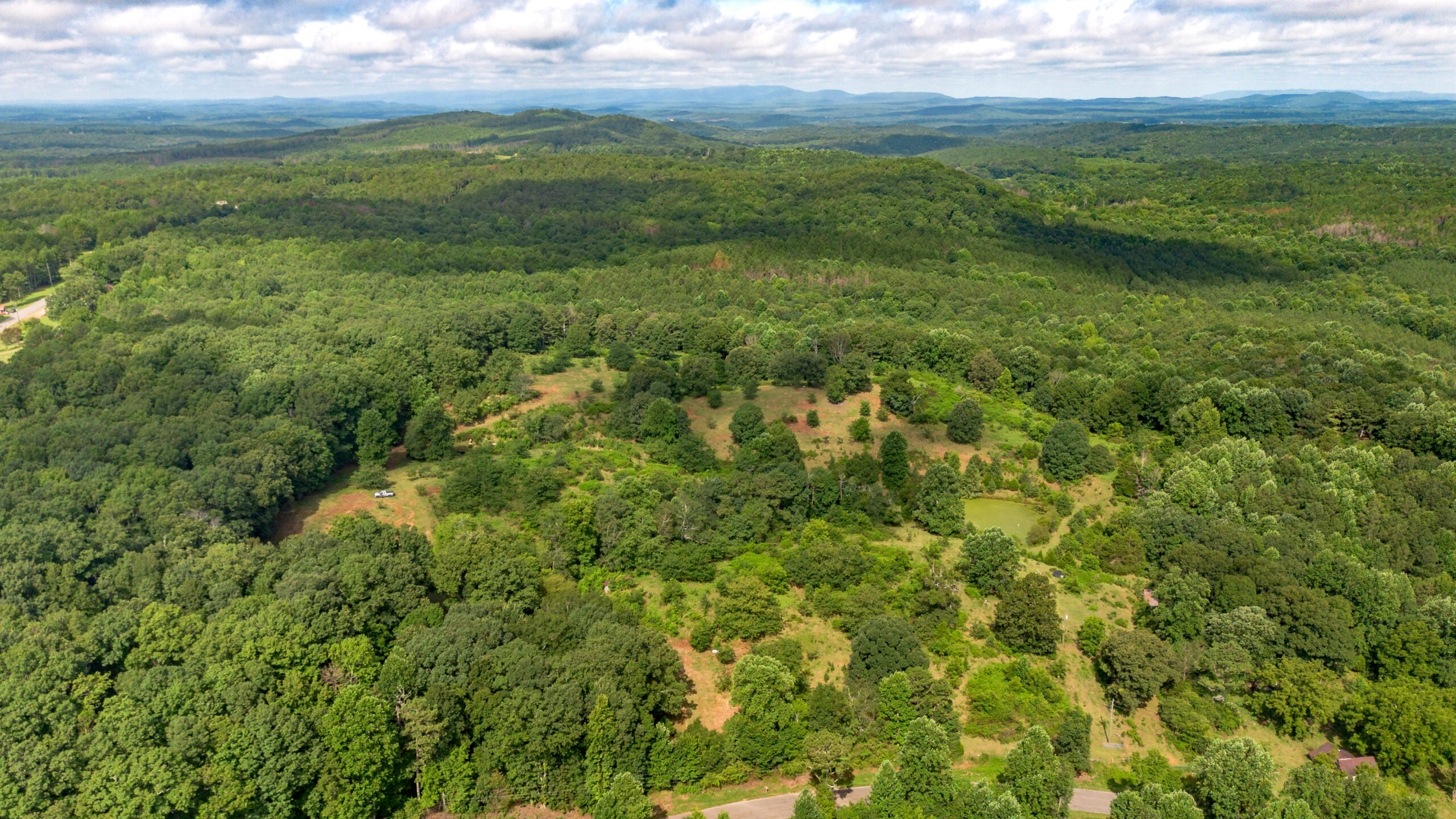 5967 County Road 19, Heflin, AL — 34 fenced acres with pasture and pond
