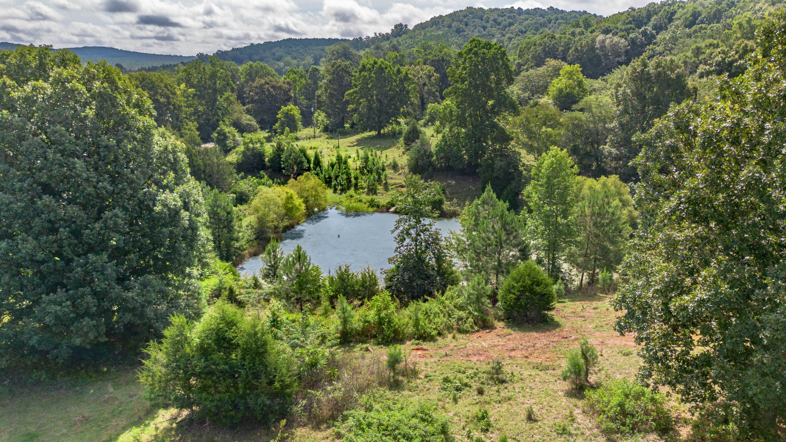 5967 County Road 19 Heflin AL — pasture and road frontage