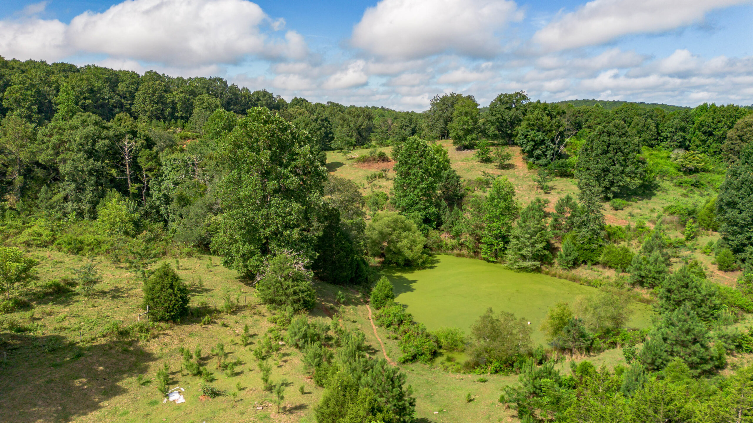 5967 County Road 19 Heflin AL — scenic pond and rolling land