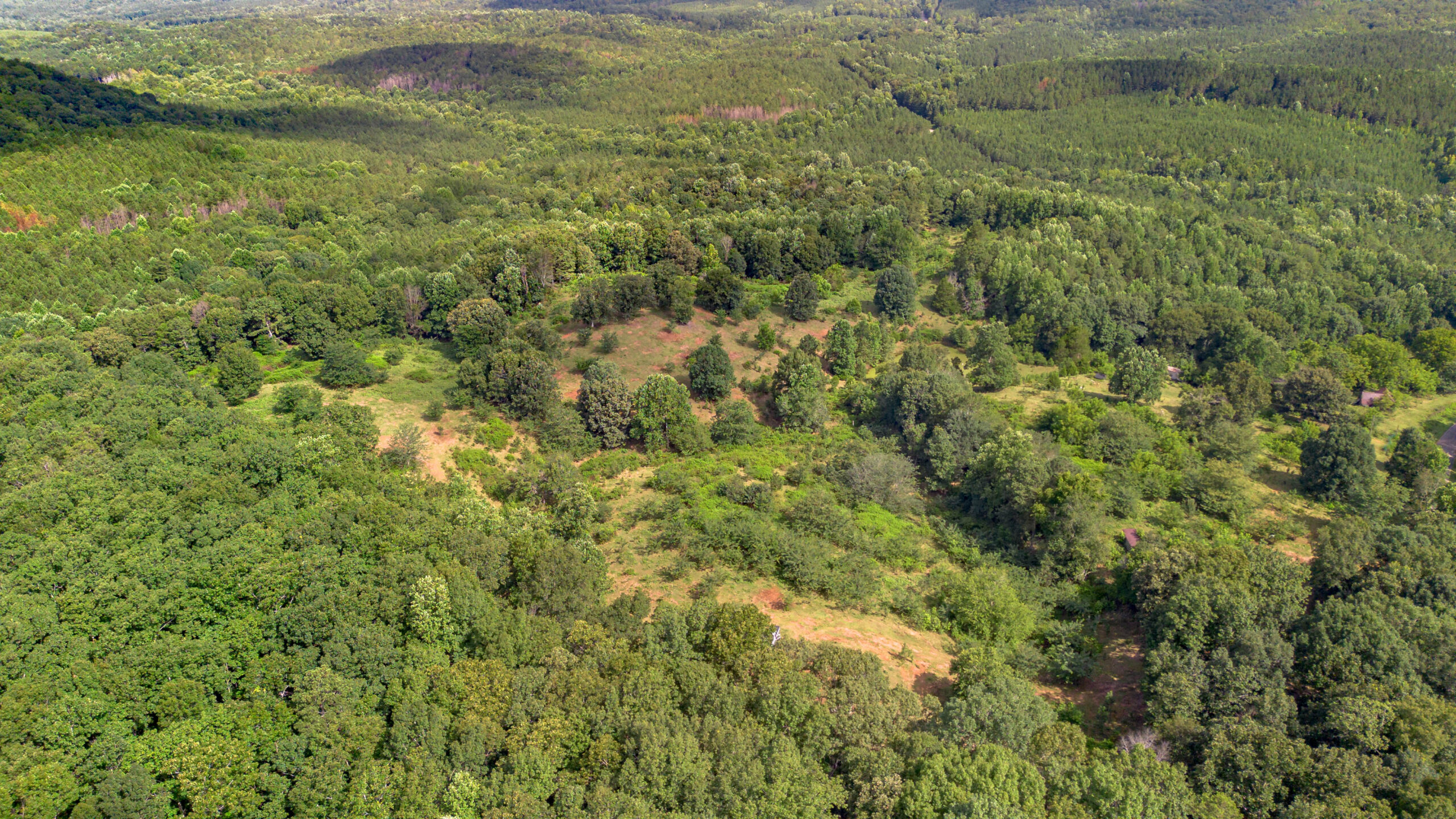 5967 County Road 19 Heflin AL — fenced pasture acreage
