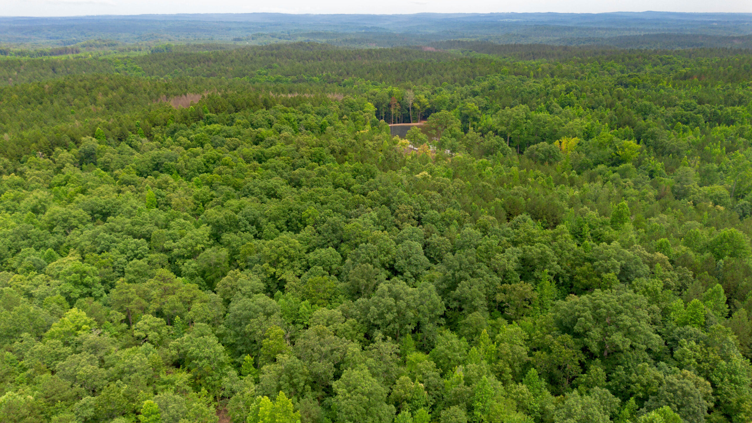 Vineyard Road Fruithurst AL — rolling wooded acreage