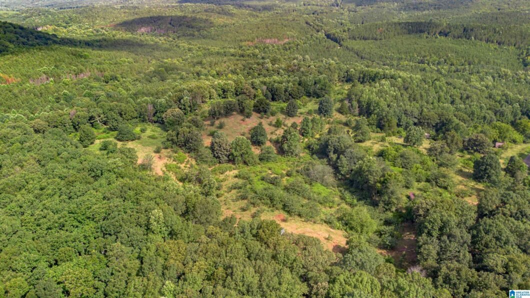 5967 County Road 19 2