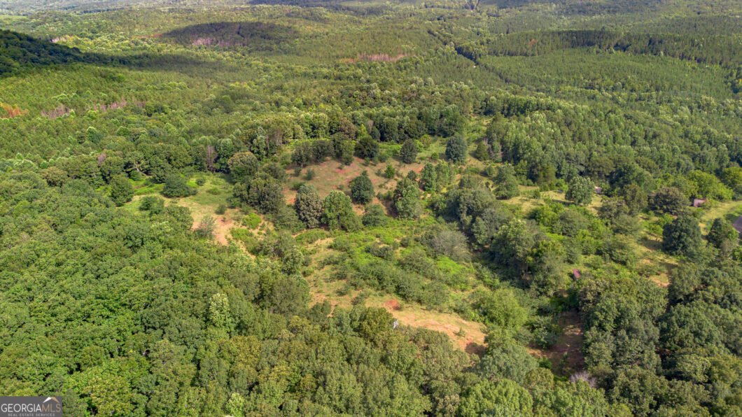 5967 County Road 19 LOT 2