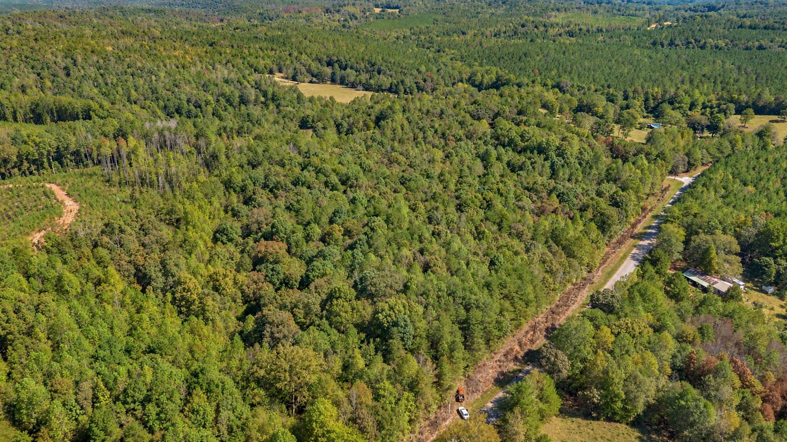 Wooded land on Lees Bridge Road