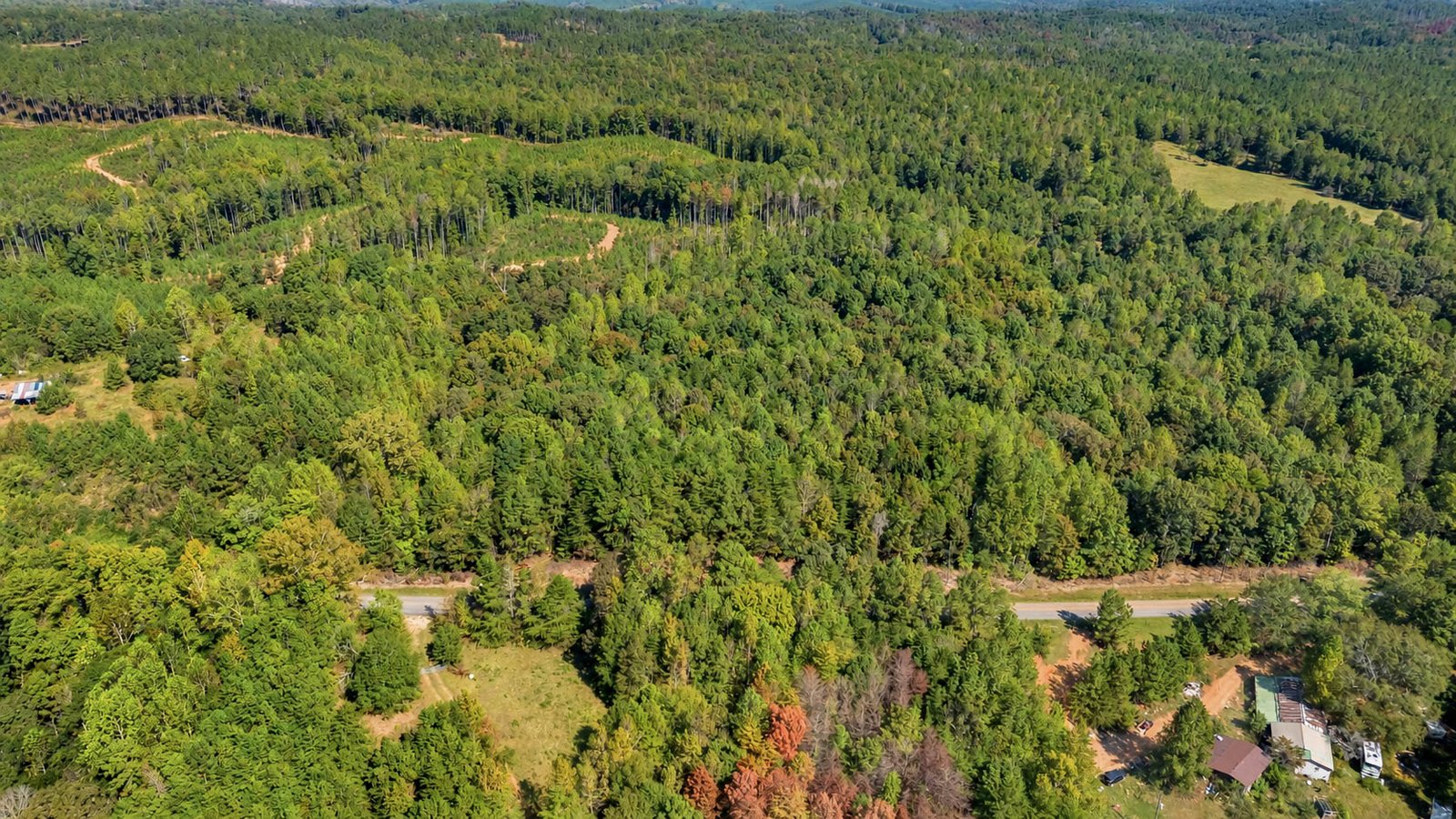 Lees Bridge Road property in Delta Alabama