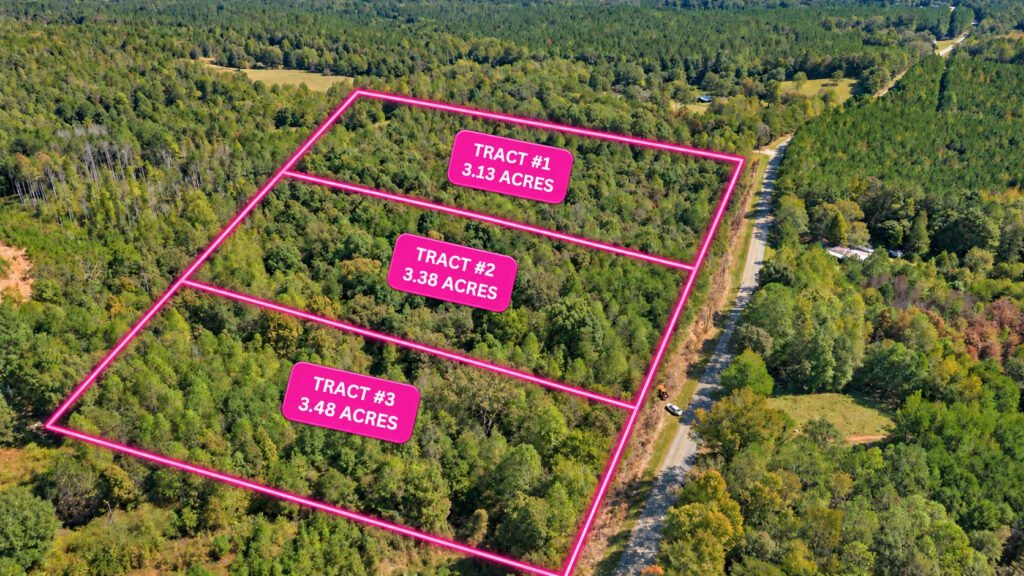 Your West Georgia Realtor Lees Bridge Road