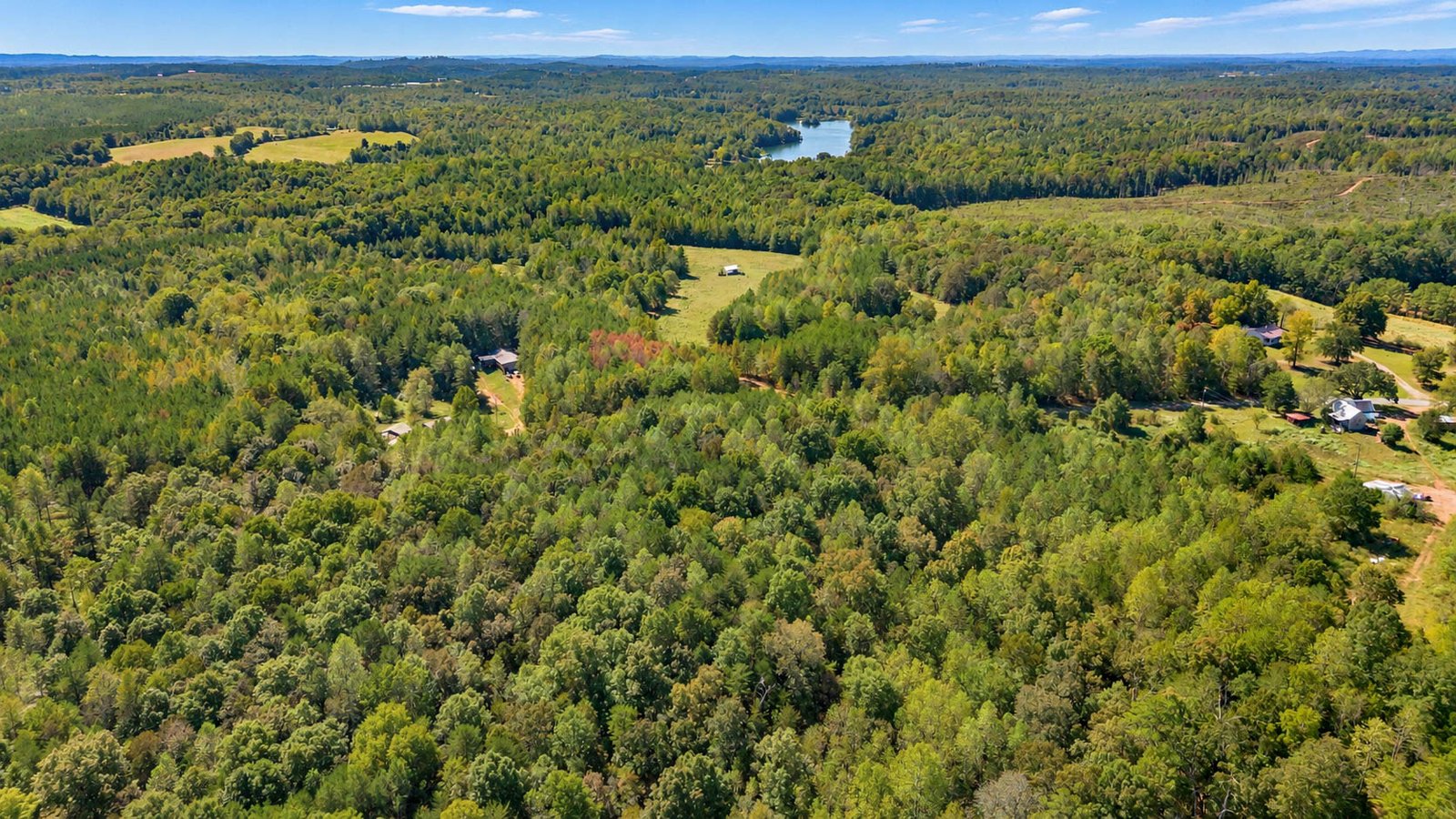 Land for sale in Delta Alabama