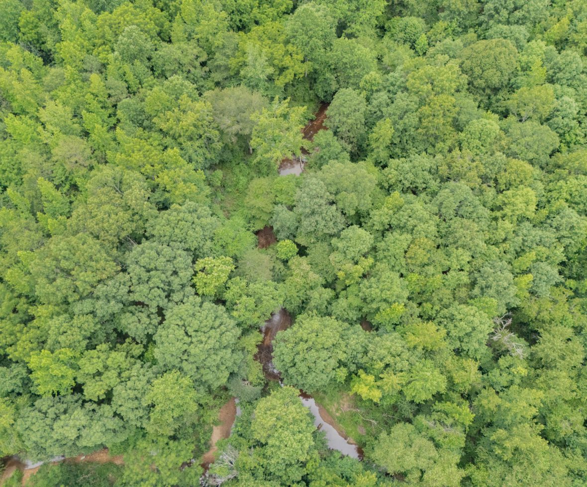 0 County Road 475, Woodland, AL 36280